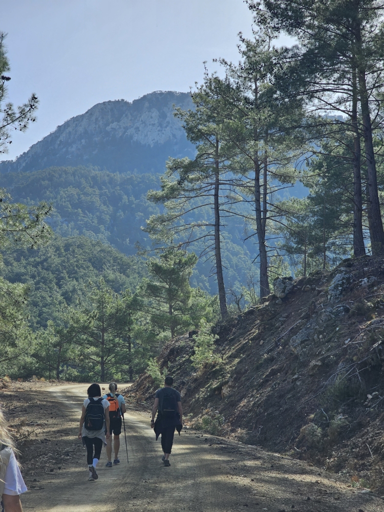 Фото из похода