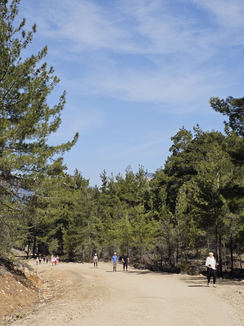 Фото из похода