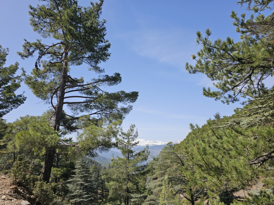 Фото из похода