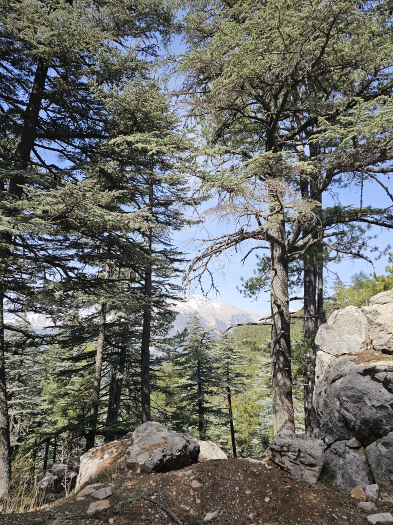 Фото из похода