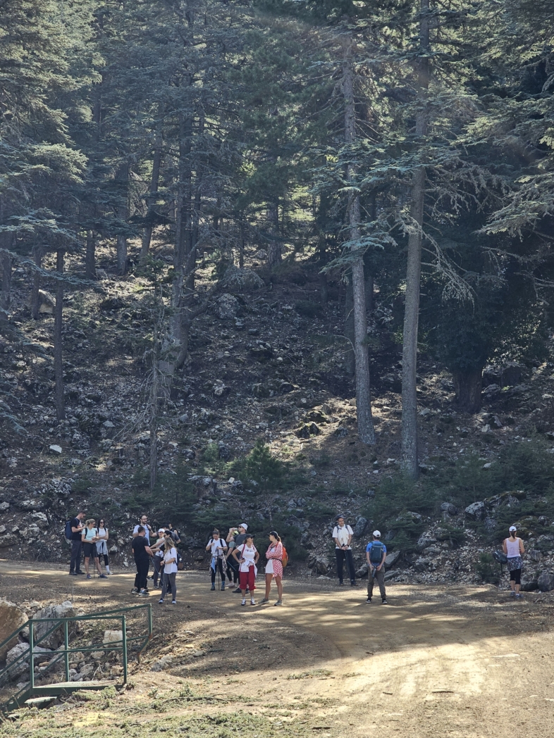 Фото из похода