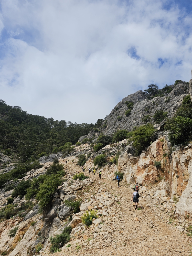 Фото из похода