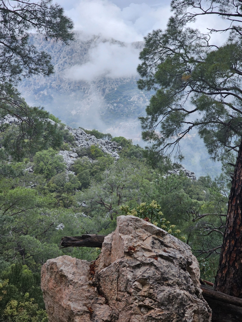 Фото из похода