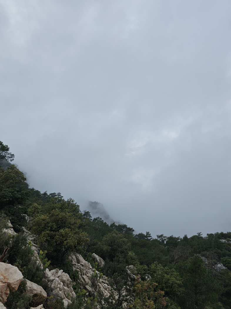 Фото из похода