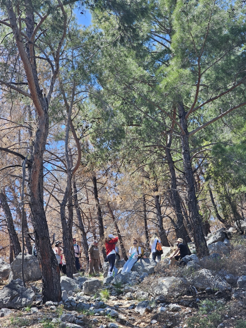 Фото из похода