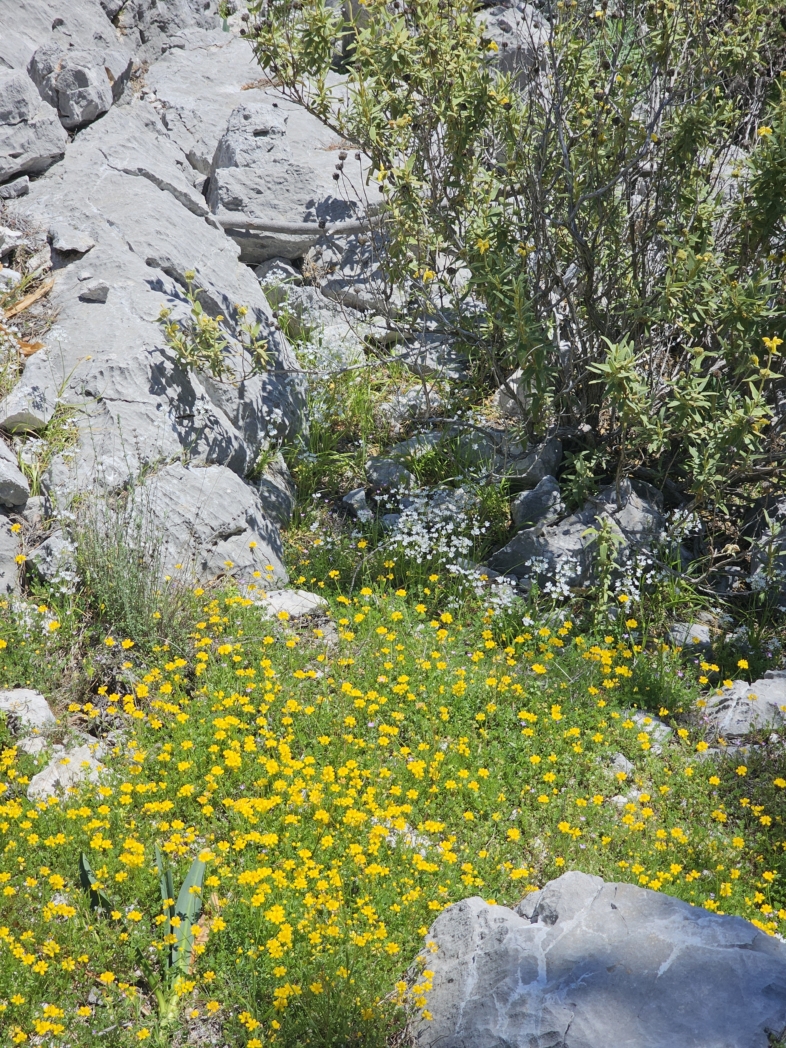 Фото из похода