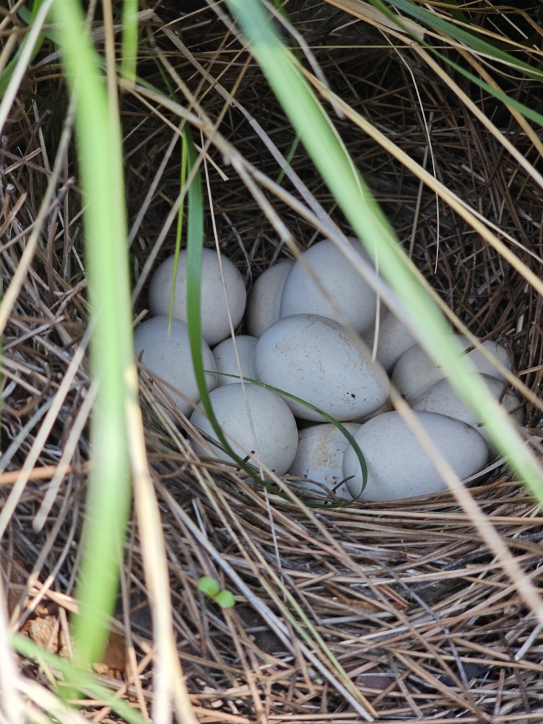 Фото из похода