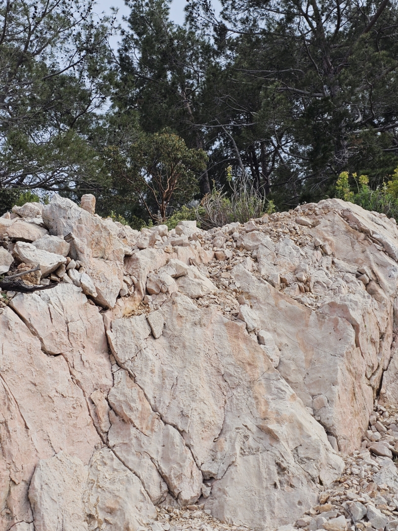 Фото из похода