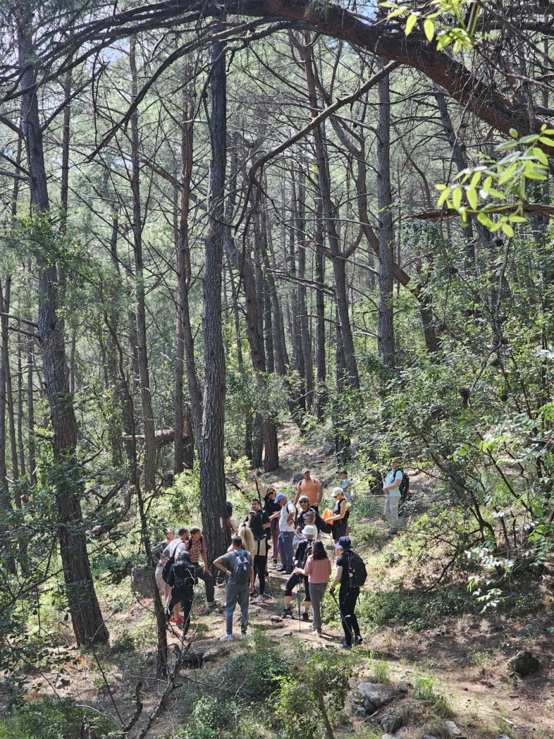 Фото из похода