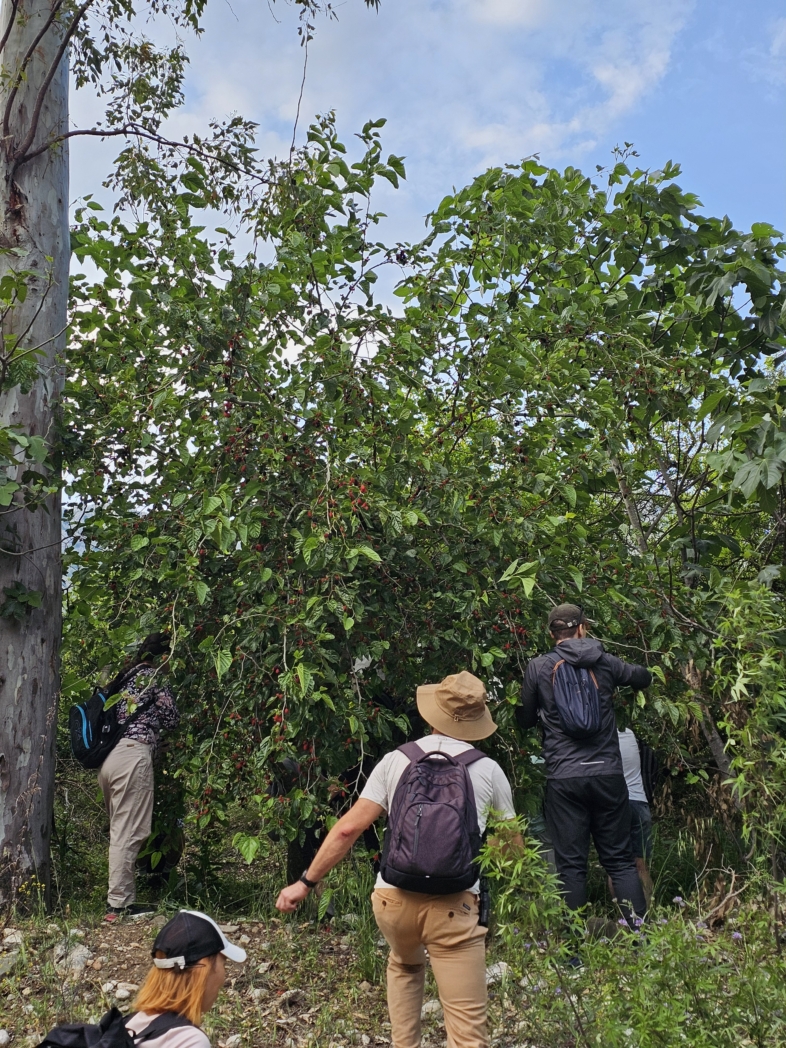 Фото из похода