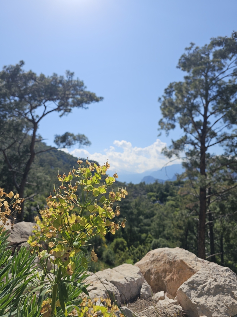 Тунектепе до каната