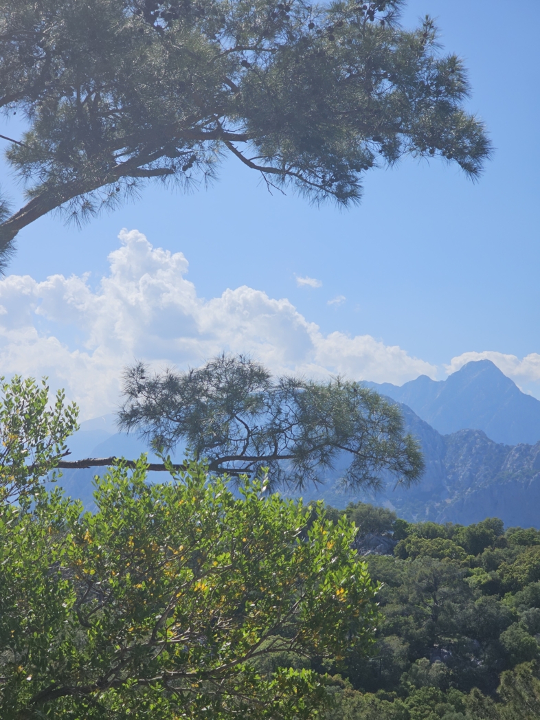 Фото из похода