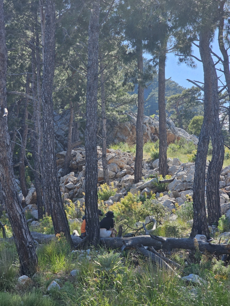 Фото из похода