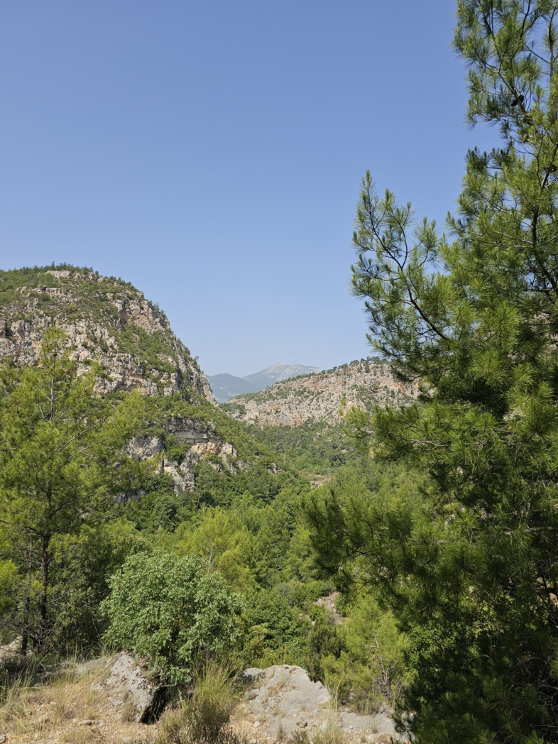 Фото из похода