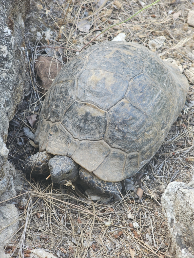 Фото из похода