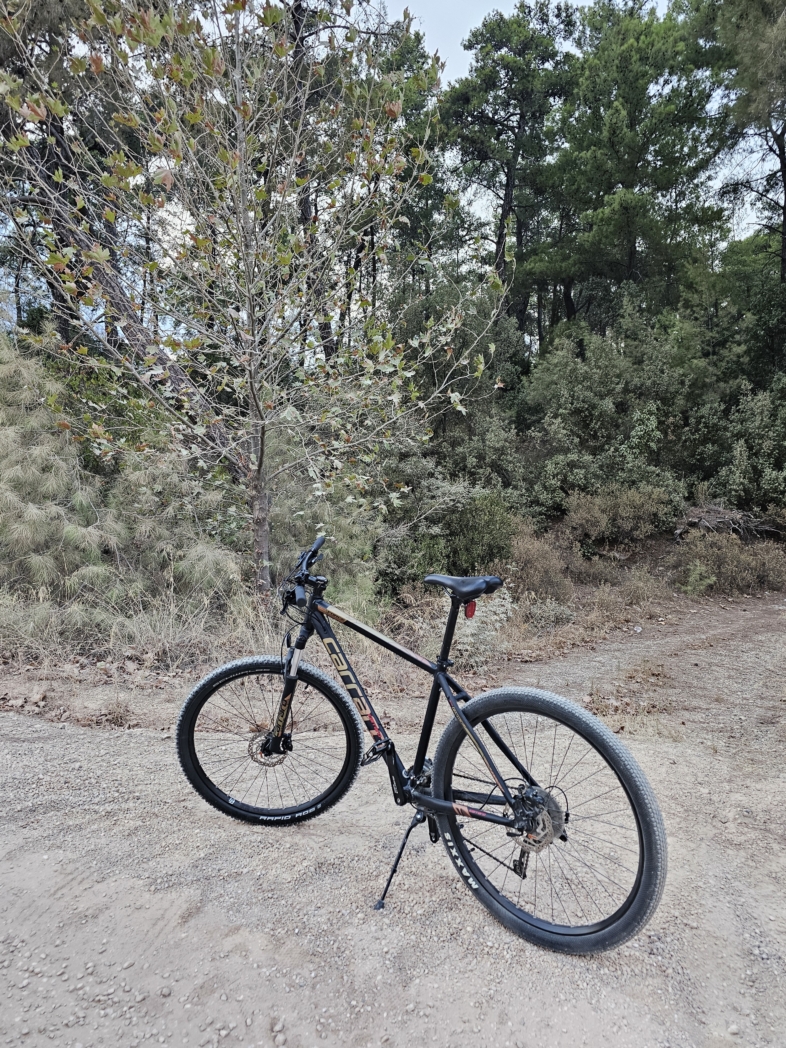 Фото из похода