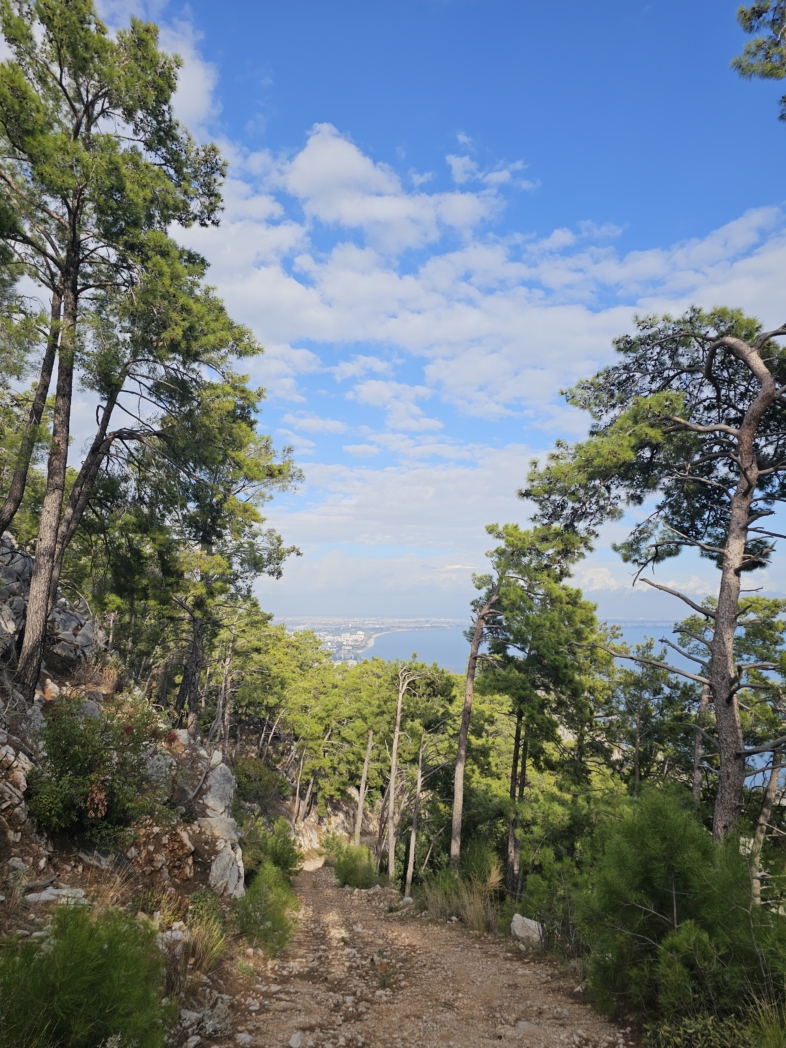 Тунектепе белые камни