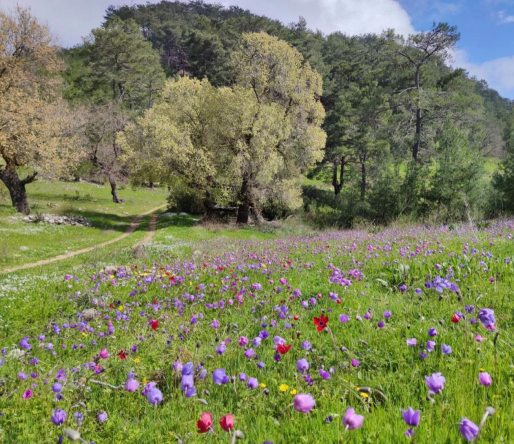 Фото из похода